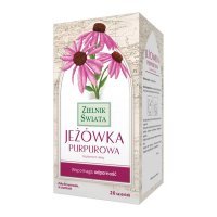 Jeżówka Purpurowa Zielnik Świata zioładoza