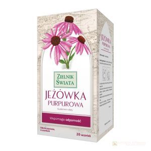 Jeżówka Purpurowa Zielnik Świata zioładoza