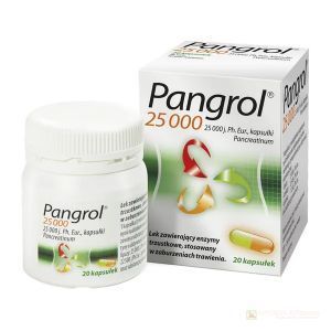 Pangrol 25 000 kaps. 25000j.Ph.Eur.Lip 20k